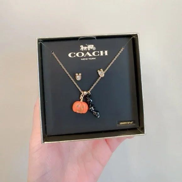 NWB COACH Halloween Jack-o’-lanter Pumpkin & Bat Earrings & Necklace Set CZ006 - Picture 4 of 5